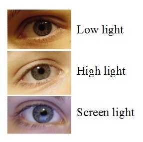 454eye1.jpg