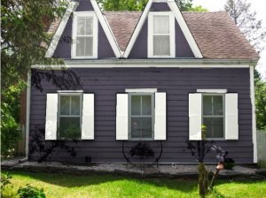 1purplewhitepix.jpg