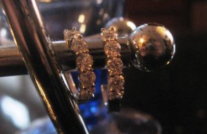tt9990ear3.jpg
