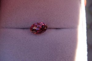 DSC05794rs.JPG