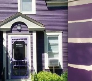 nancydrewofpurples.jpg