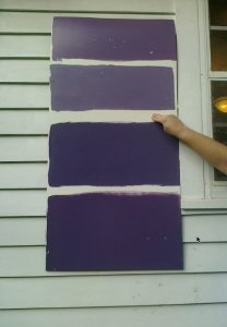 2ndcoatpurples3.jpg