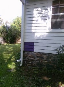 plummyonhouse1.jpg