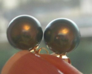 Tahitian_smaller_2.JPG