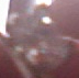 go1dens4d3.jpg