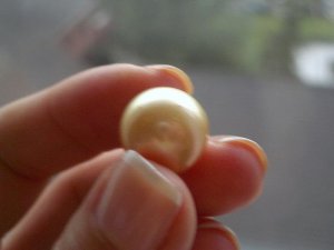 Golden Pearl_2.JPG