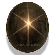 black-star_STB-00265-l 2.jpg