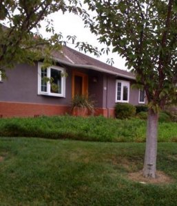 purple house.jpg