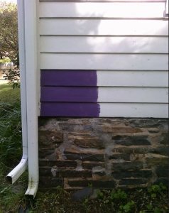 plummyonhouse2.jpg