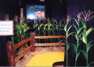 oz cornfield_md.jpg