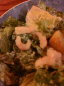 babyshrimpfetuspicforps.jpg
