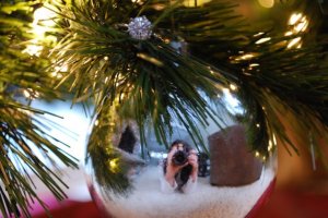 holidaypicforps.jpg