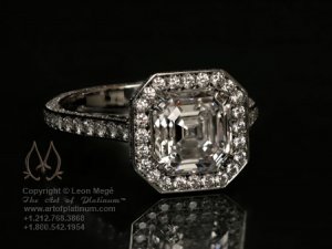 r960004Ww.jpg