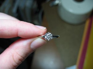 ring and tart 037 (Medium).jpg