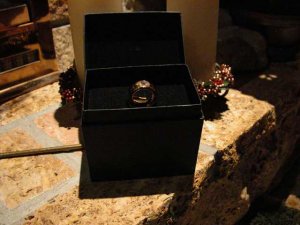A ring box for Gailey 03.JPG