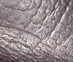 WB2009.jpg