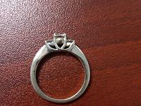 IMG00113-20091228-0957.jpg