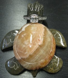 canadahamturtleshot.JPG