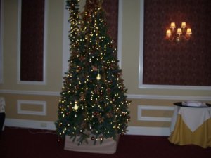 1226tree.jpg