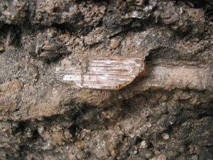 Imperial topaz in mine seam.jpg