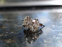 Christmas 2009 054 9999999.jpg