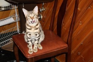 BEGIMG_0110.jpg
