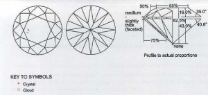 G VS1 Diagrams JP.jpg