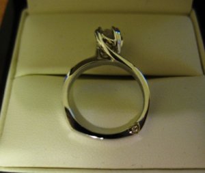 IMG_2194aab..JPG