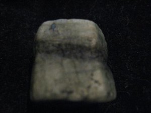 IMG_3047121.JPG