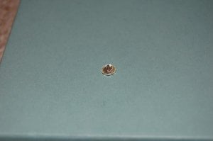 bottomdiamond5465.jpg