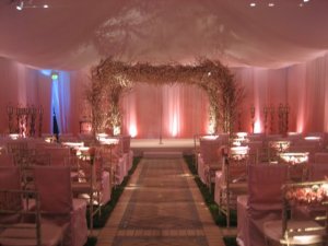 cherryblossomchuppah.JPG