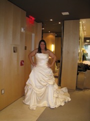 theothernicedress2.jpg