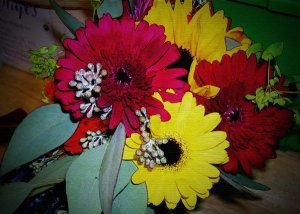 web5flowers.jpg
