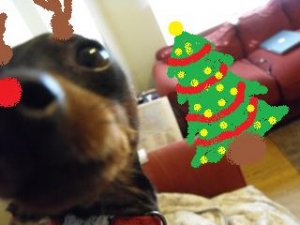 holidayljeoihtoiehoehrassss.jpg