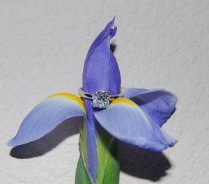 Smallflowerjp.JPG Smallflowerjp.JPG