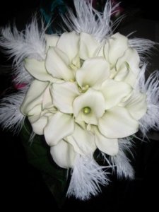calalillyfeather2001.jpg
