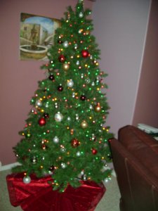 mcptree2009.JPG