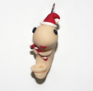 santaembryo.jpg