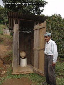 Latirinehondurasps.jpg
