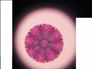 HKA109-6 Idealscope 2.jpg