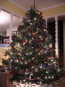 Christmas 2009 003_1024c.jpg
