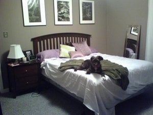 greylavbedroom2.JPG