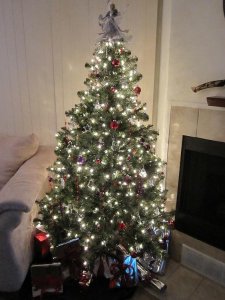 geckodanitree.jpg