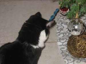 xmasboo.jpg