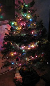 IMG_4376 copya09s8d-098THIS.jpg