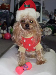 BONNIESANTA.jpg