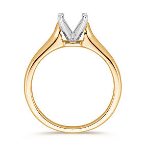 contour ring.jpeg