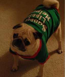 Braxton Christmas 1a.JPG
