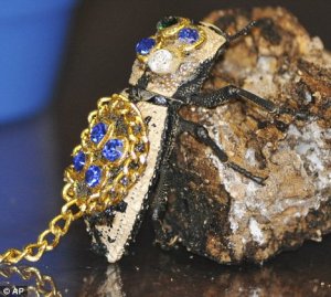 bling beetle.jpg