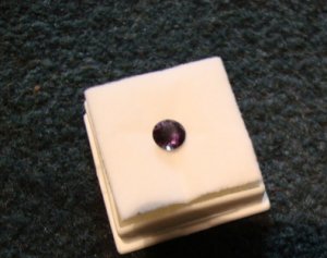 cc482.JPG